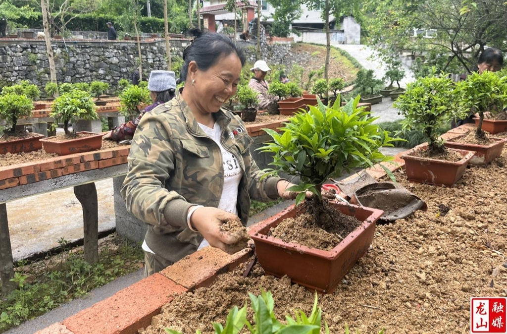 内溪乡塘口村：金弹子扮靓湘村客厅 庭院经济激活乡村振兴新动能