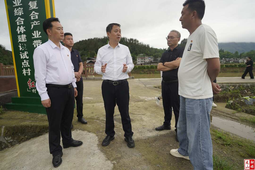 吴光文到召市镇、石牌镇调研督导重点工作