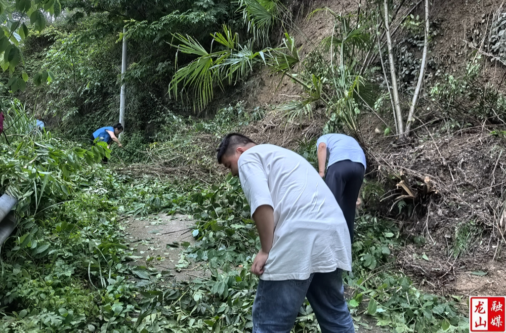 青艾村：闻“汛”而动清路障 携手同心保平安