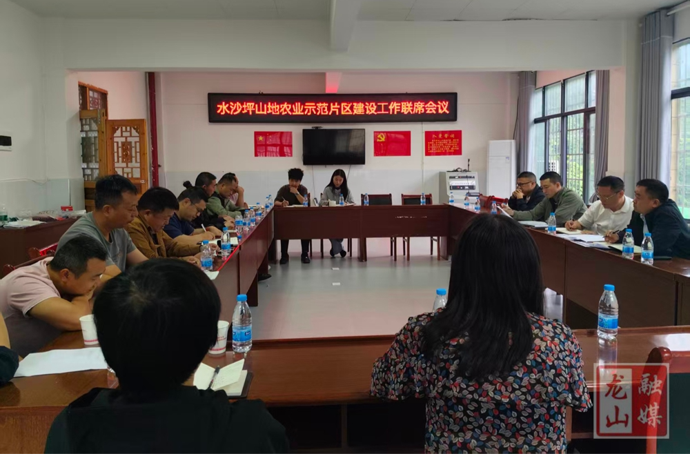 水沙坪山地农业示范片区建设工作联席会议召开