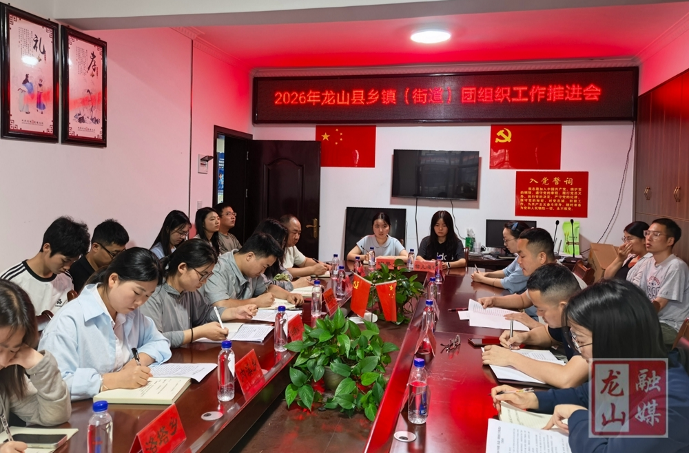 2026年龙山县乡镇（街道）团组织工作推进会召开