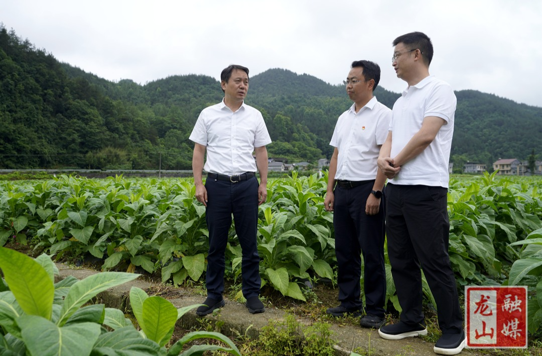 吴光文到茨岩塘镇调研乡村振兴片区建设工作
