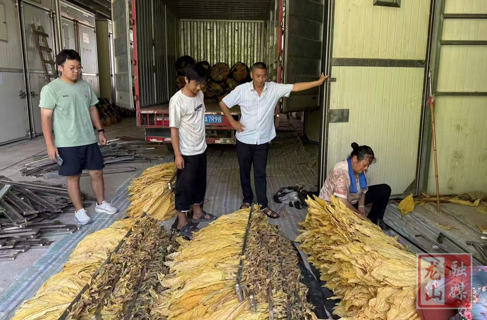 里耶镇：技术服务到烤房 烟农增收有保障