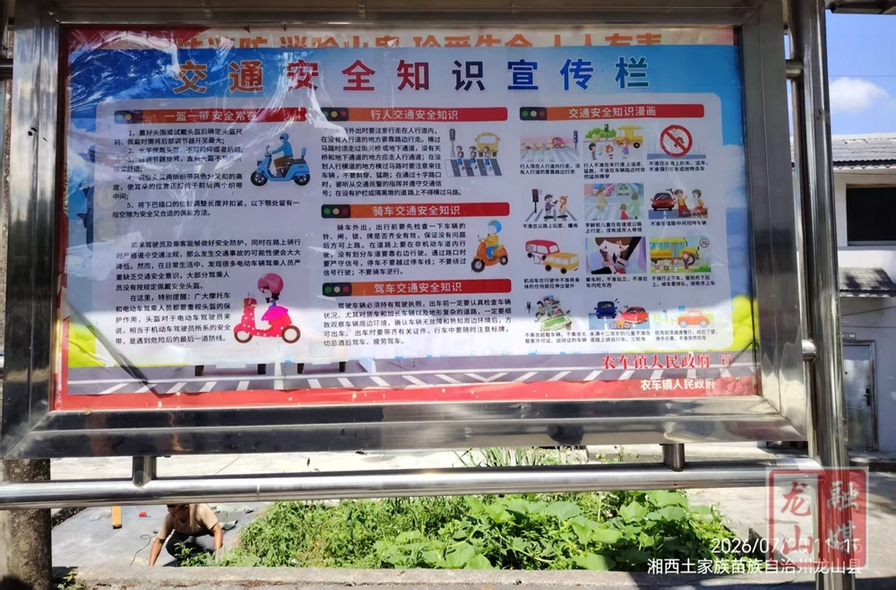 龙山：刚柔并济治顽疾 源头治理护平安