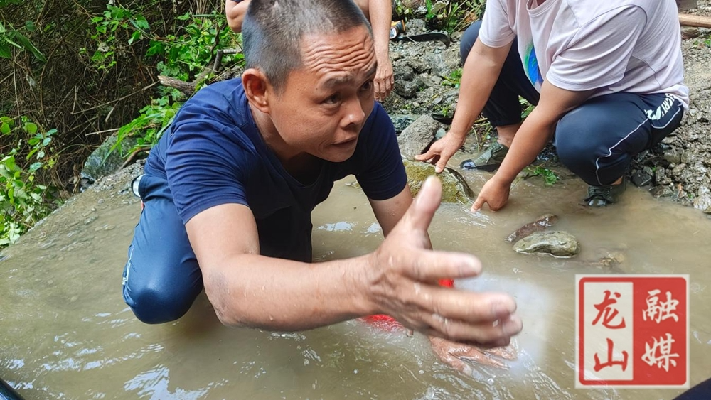 内溪乡西眉村：干群同心破“水困”