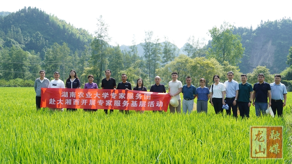 湖南农业大学专家服务团来县开展农业产业技术指导活动