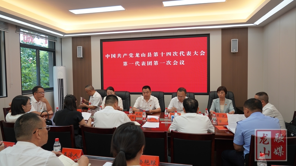 喜迎党代会 奋进新征程丨中国共产党龙山县第十四次代表大会各代表团召开第一次会议