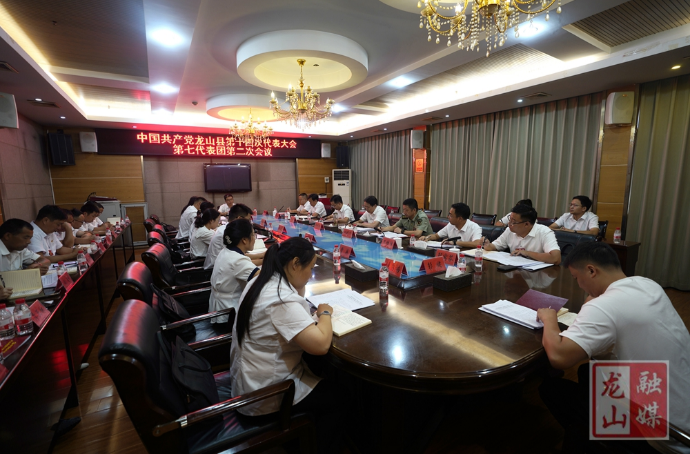 喜迎党代会 奋进新征程丨吴光文参加中国共产党龙山县第十四次代表大会第七代表团讨论
