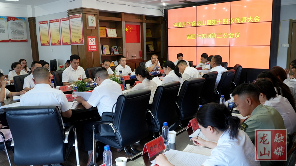 喜迎党代会 奋进新征程丨谢军参加中国共产党龙山县第十四次代表大会第四代表团讨论