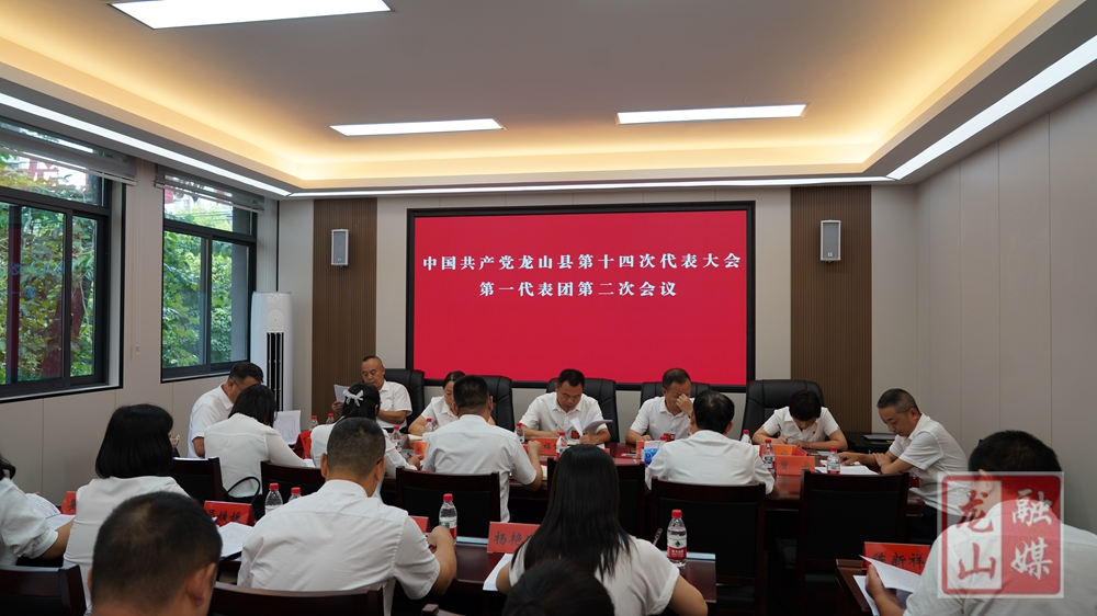 喜迎党代会 奋进新征程丨中国共产党龙山县第十四次代表大会各代表团召开第二次会议