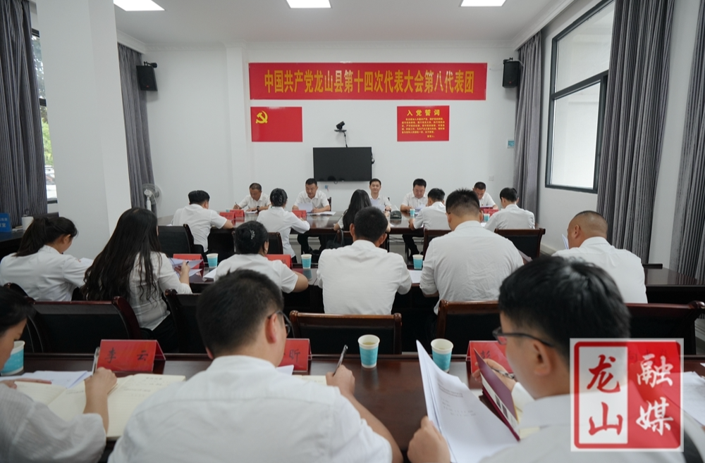 喜迎党代会 奋进新征程丨彭礼参加中国共产党龙山县第十四次代表大会第八代表团讨论