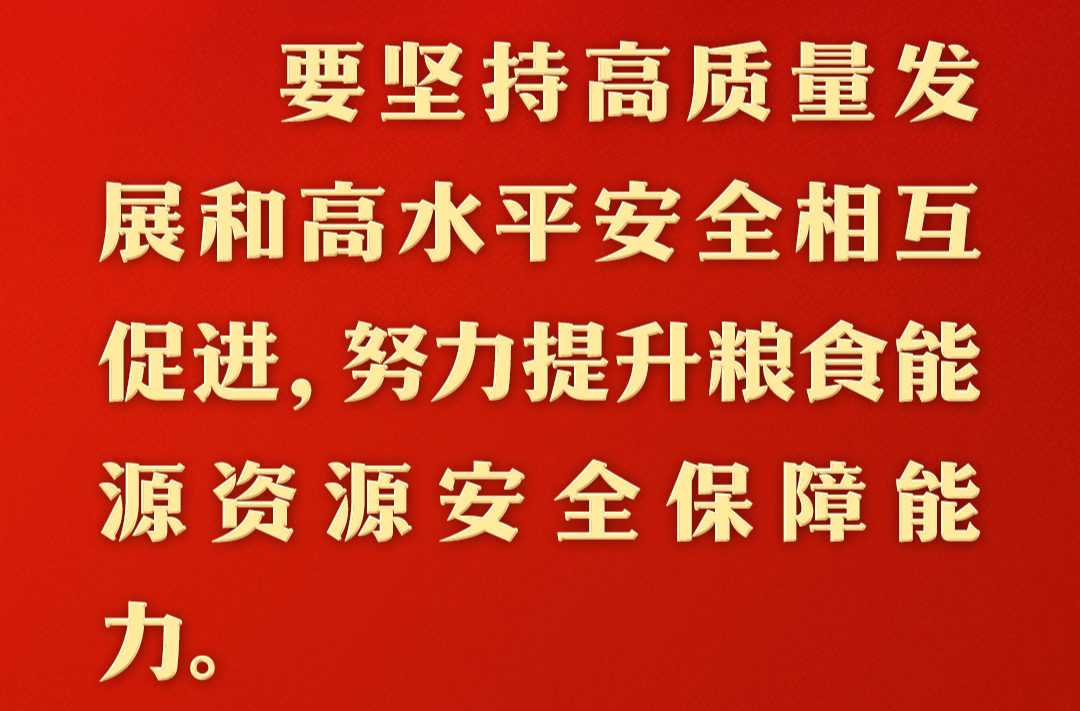 总书记的人民情怀丨“努力提升粮食能源资源安全保障能力”