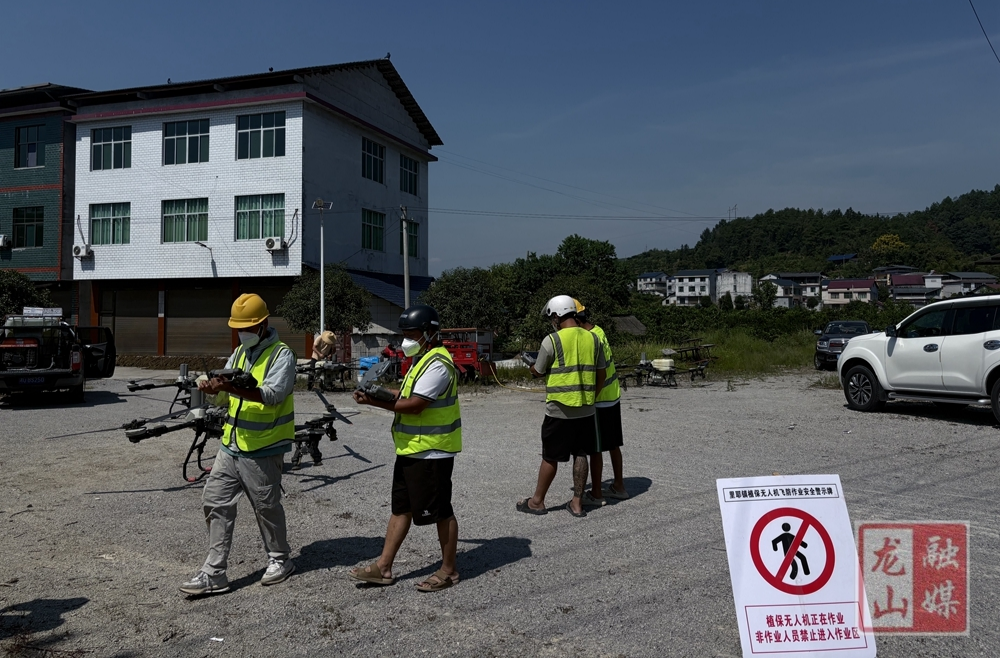 里耶镇：大板社区第三次飞防启动 守护5000亩橘园