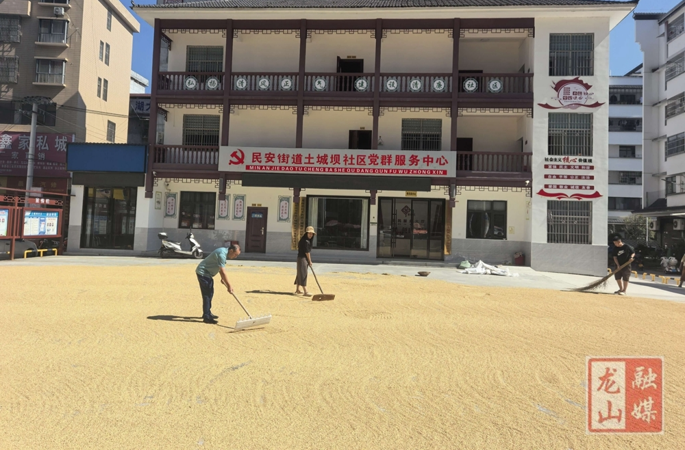 民安街道土城坝社区干部靠前服务助农晒粮