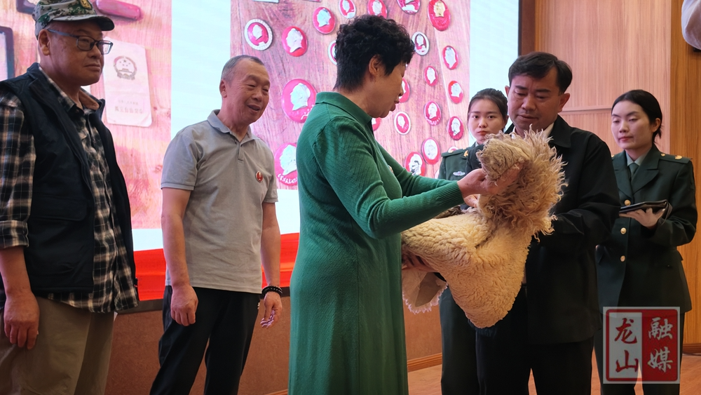 龙山：革命后代捐赠文物 红色血脉赓续传承