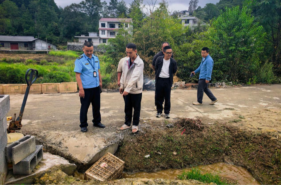 【生态环保督察在行动】龙山县处置多起信访举报 聚力整治百合加工排污隐患