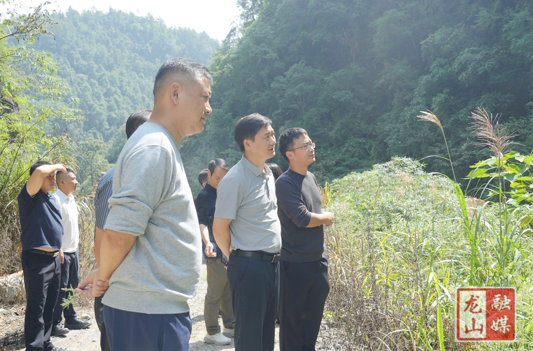 彭礼调研环保重点工作