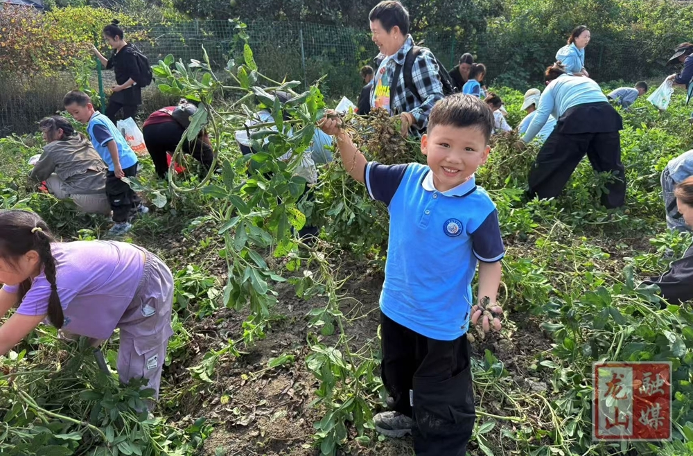 宁乡幼儿园开展“识五谷、知农事、传耕读”亲子社会实践活动