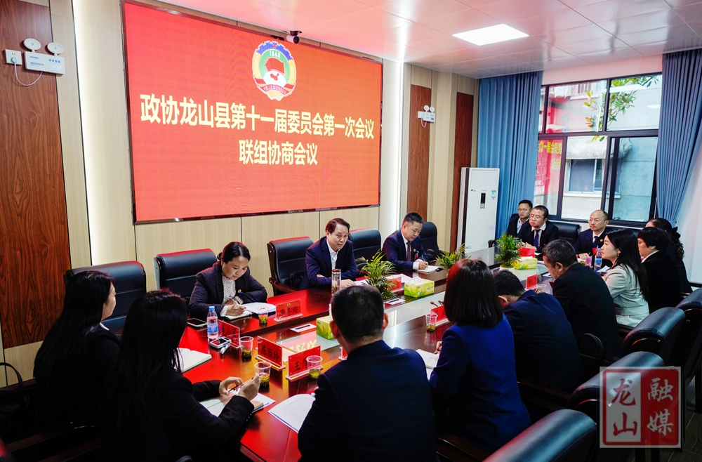 聚焦两会丨吴光文参加政协龙山县第十一届委员会第一次会议联组协商