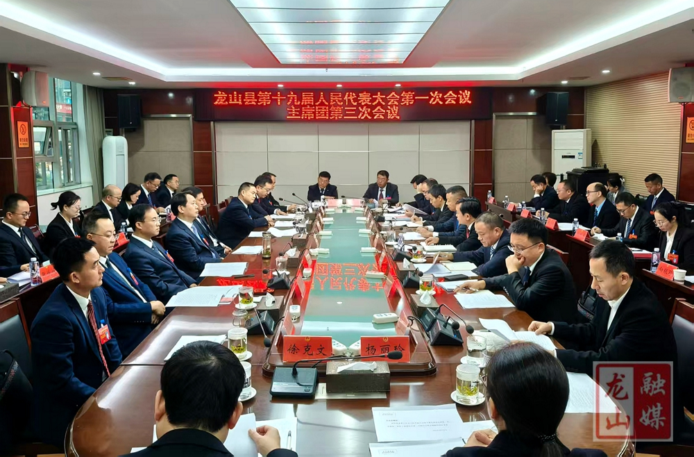 聚焦两会丨龙山县十九届人大一次会议召开主席团第三次会议