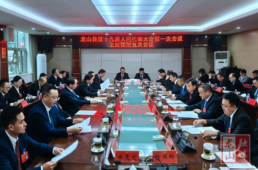 聚焦两会丨龙山县十九届人大一次会议召开主席团第五次会议