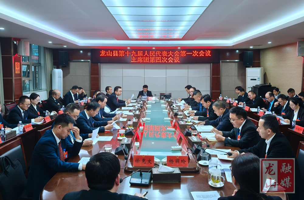 聚焦两会丨龙山县十九届人大一次会议召开主席团第四次会议
