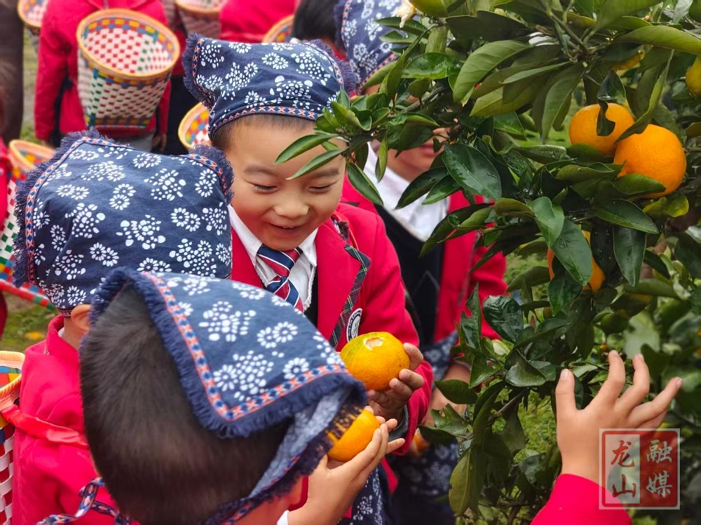 皇仓幼儿园中班组开展生活化劳动与自然探究活动
