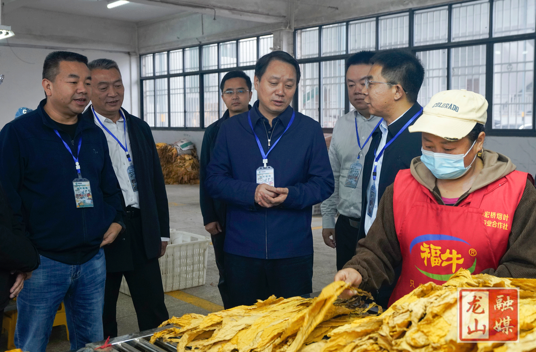 吴光文调研全县烟叶产业发展工作