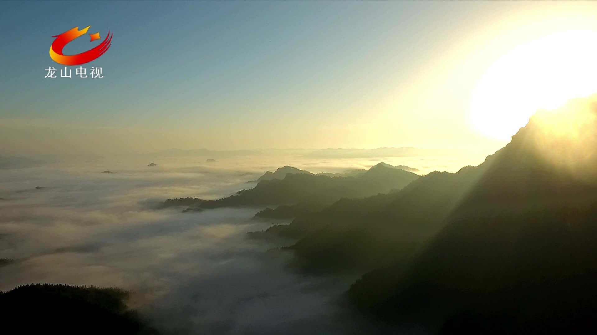 龙山百合宣传片｜ 湘品出湘龙山起 精品百合龙山来