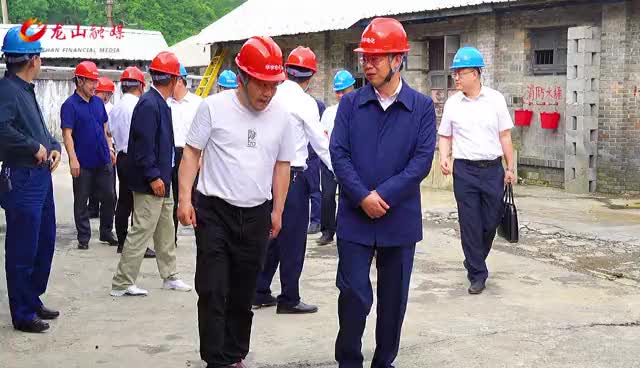 龙山县委书记刘冬生调研特色制造产业链