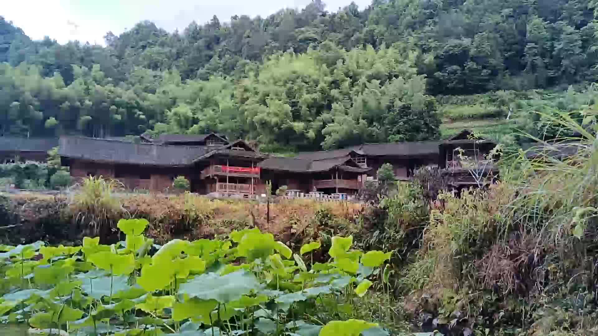 头车村美景入画来