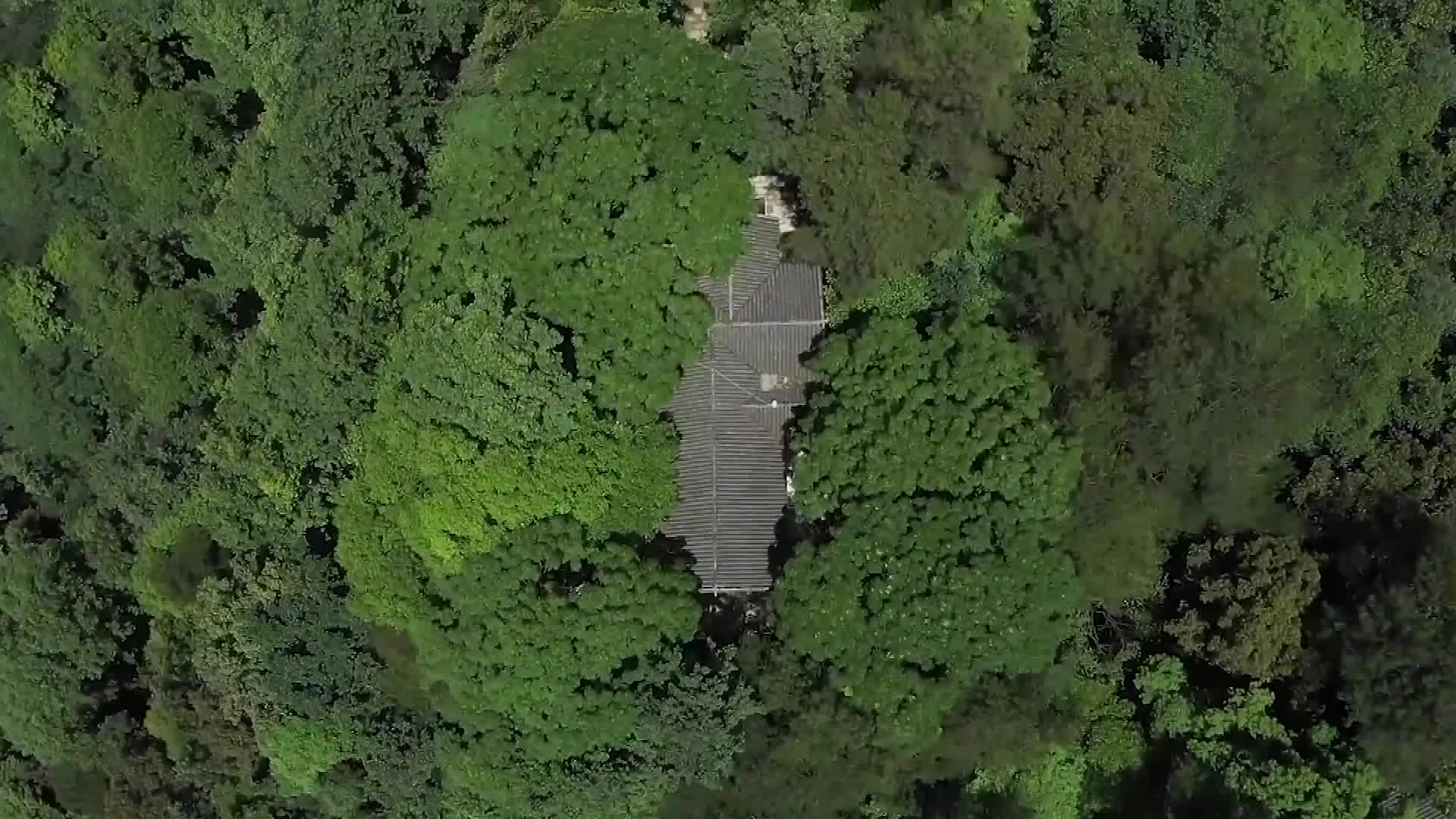 为有牺牲（4）桑植：乡关何处