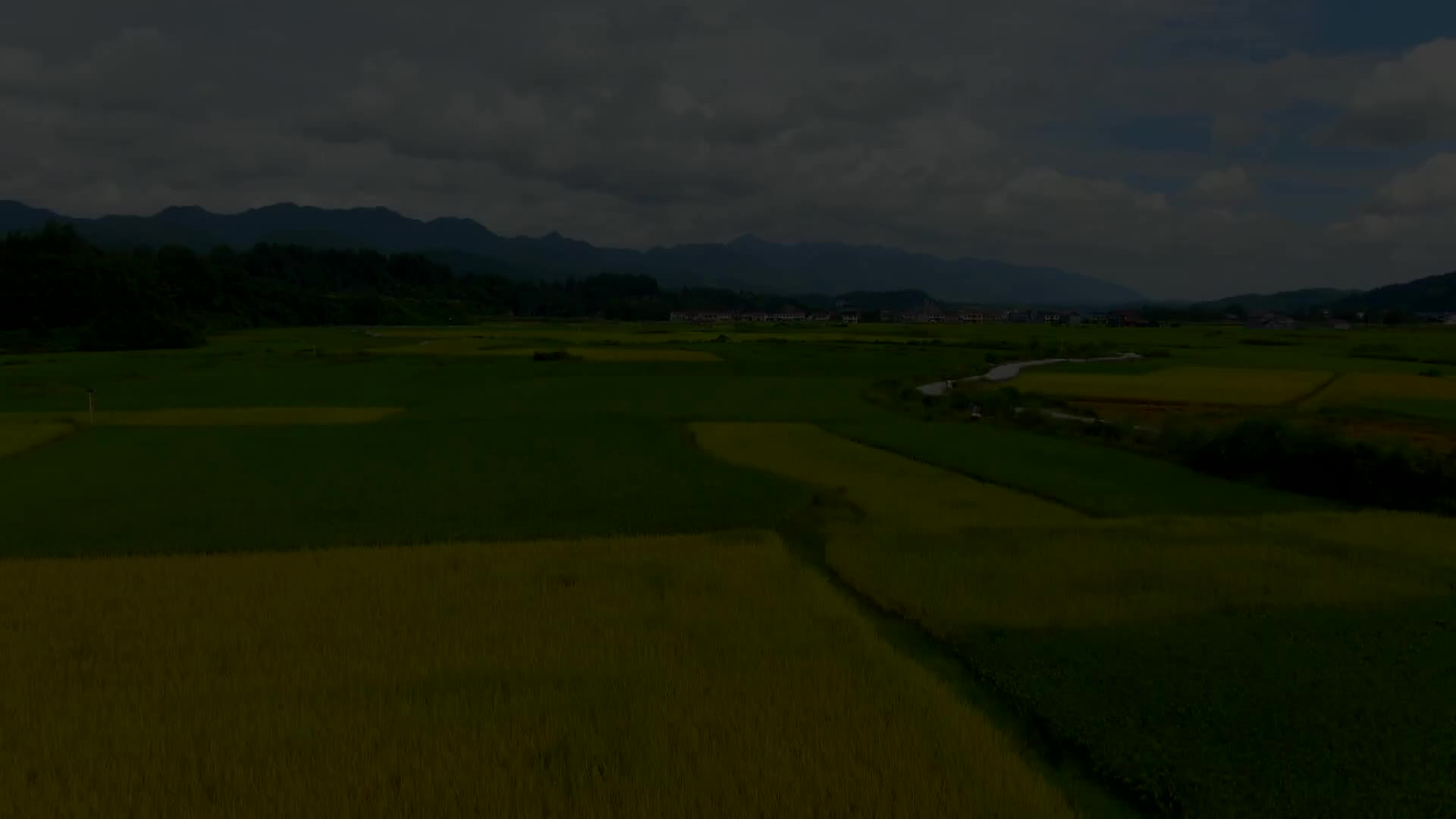 红色土地上的金色梦