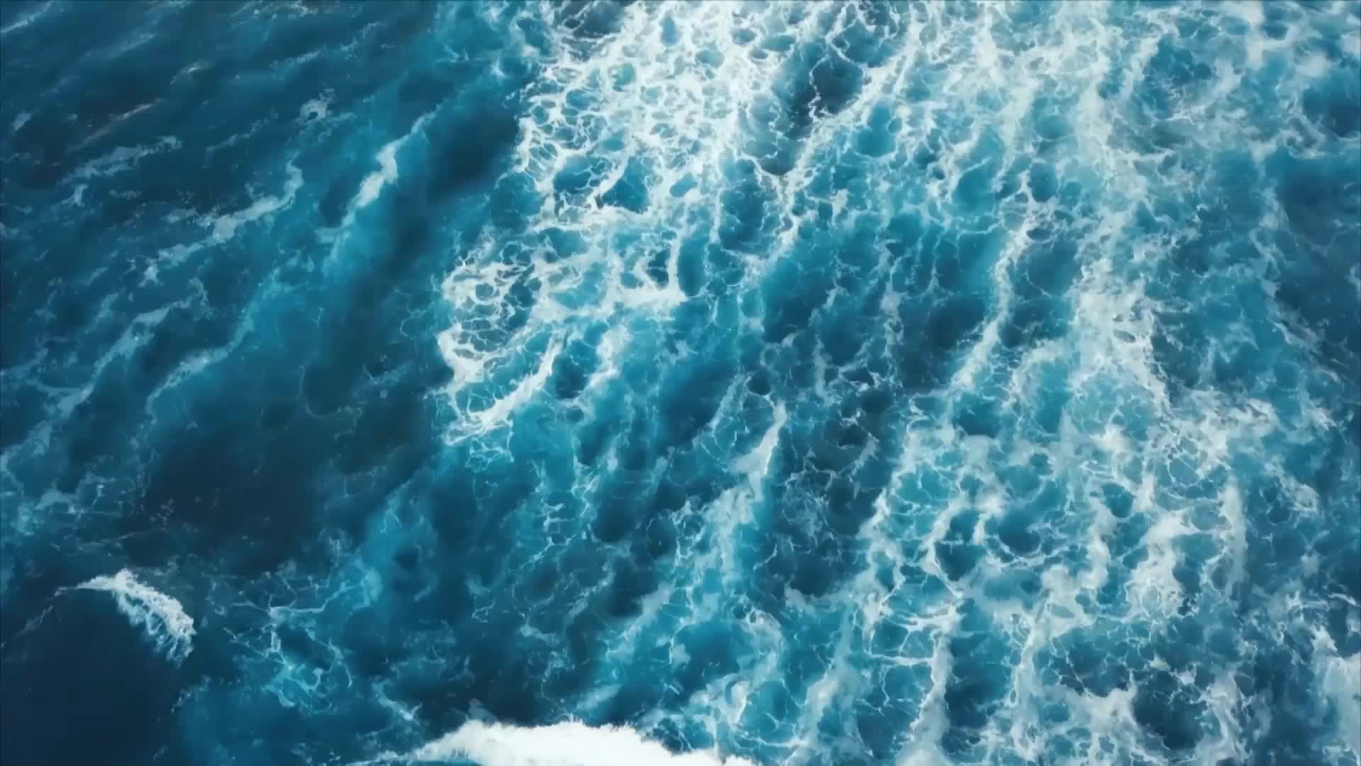 八一感人瞬间微视频——为了和平