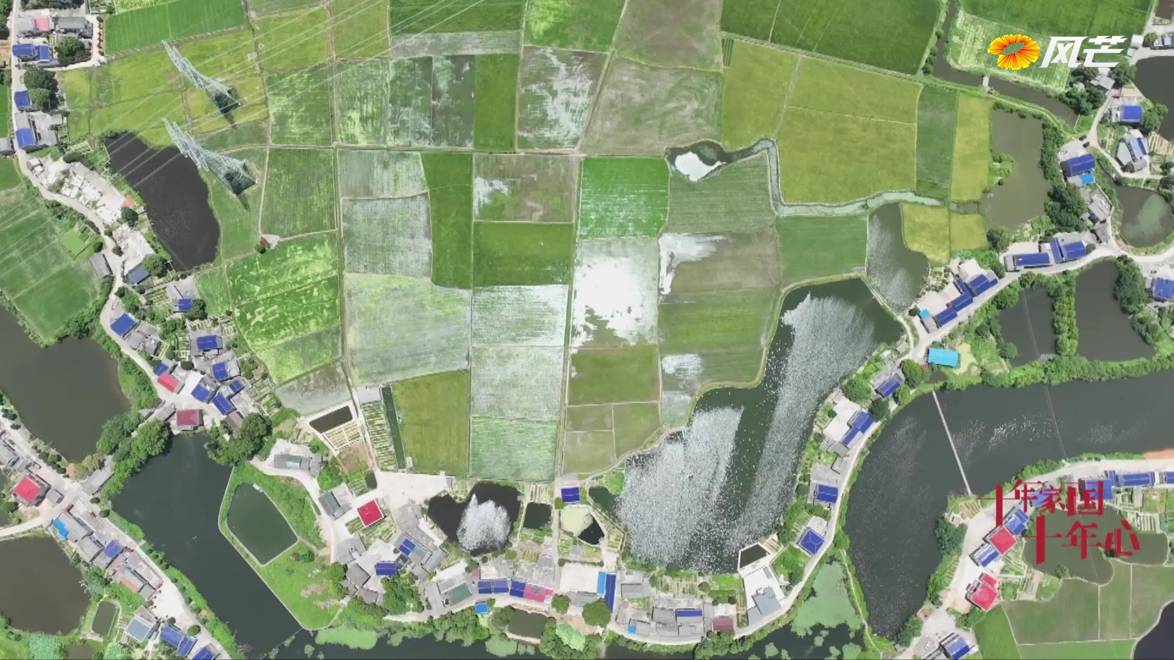 《十年家国十年心》第16集