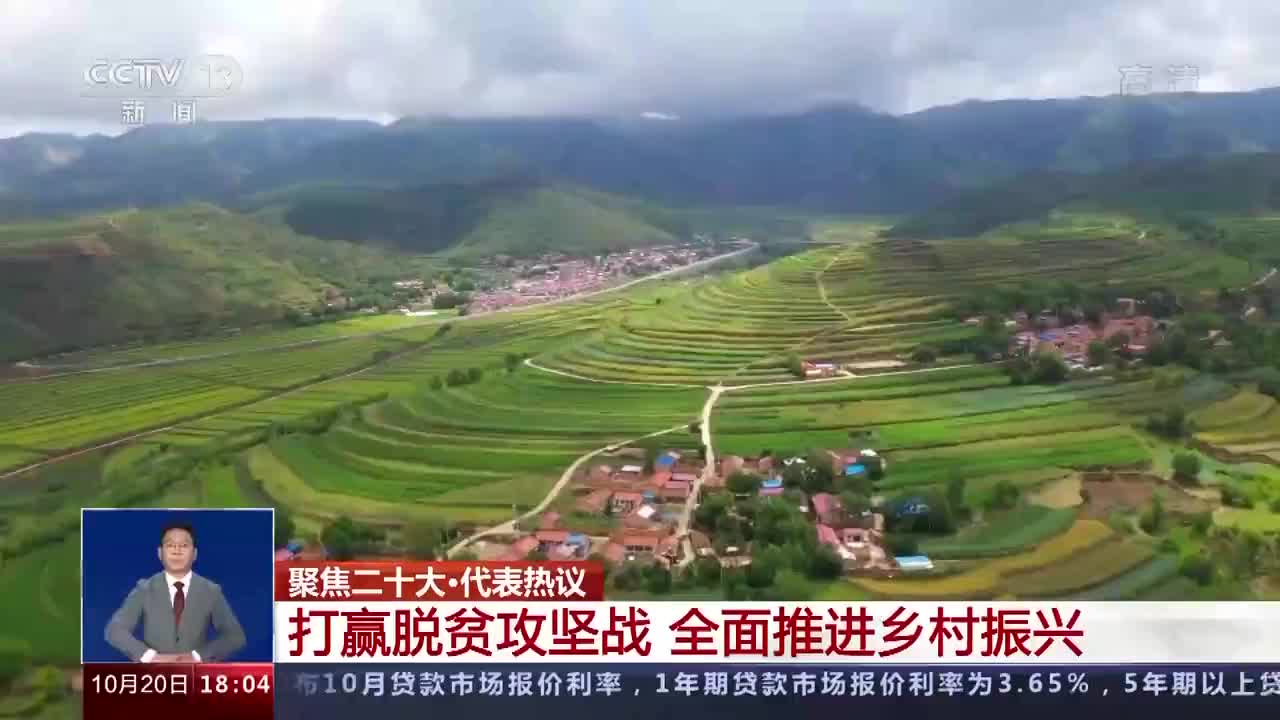 二十大代表热议丨打赢脱贫攻坚战 全面推进乡村振兴