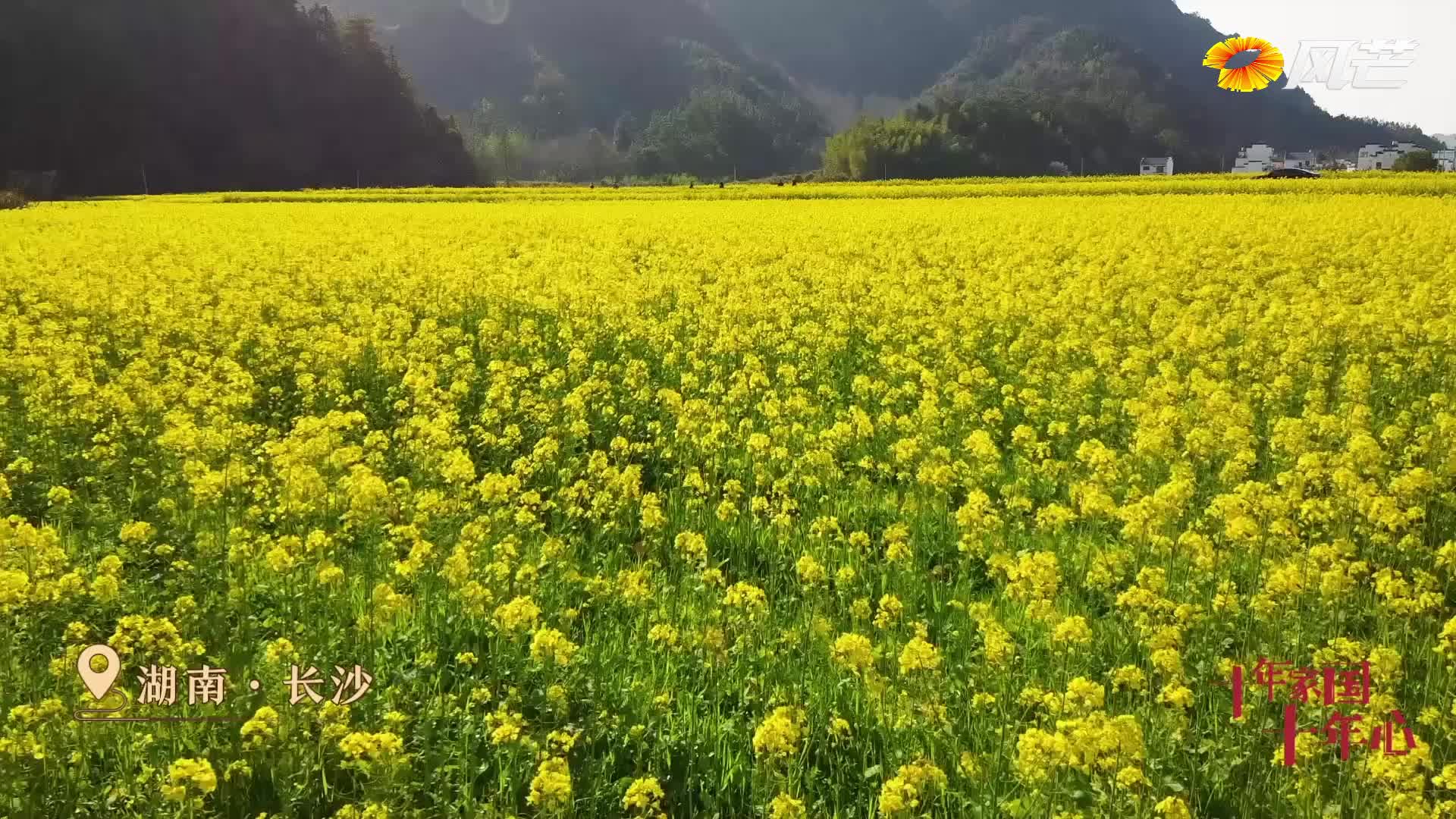 《十年家国十年心》第63集｜钱论文把“论文”写在大地上