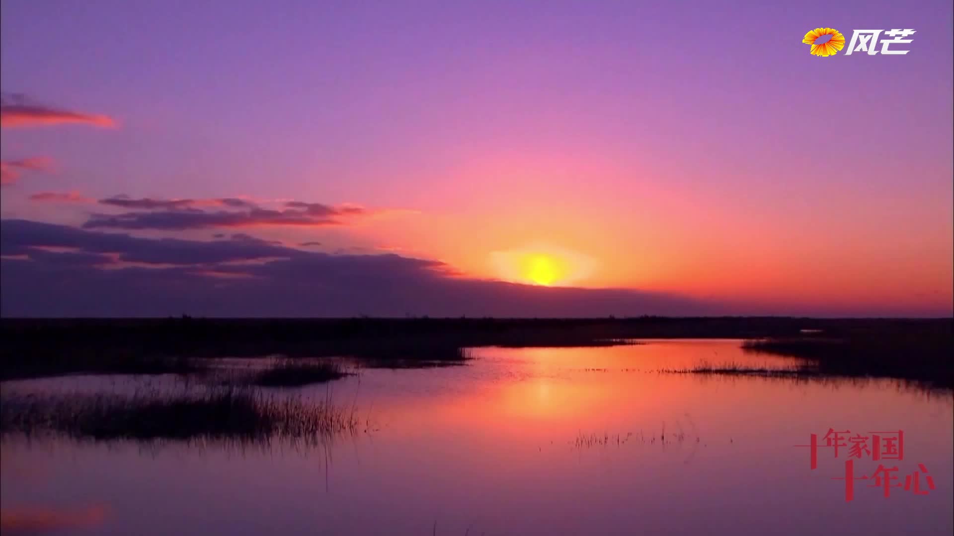 《十年家国十年心》第74集｜我最多的一次看到了50只江豚