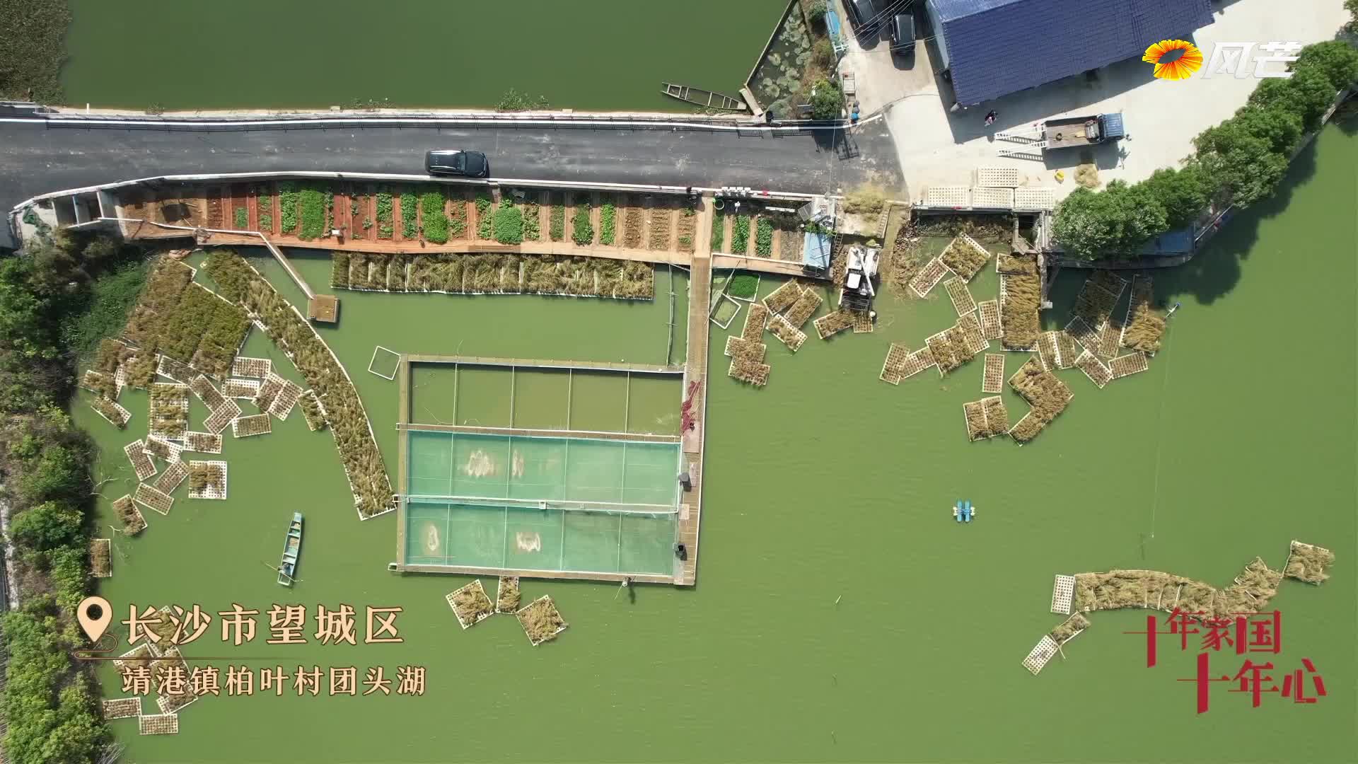 《十年家国十年心》第77集｜在湖上种水稻的农民