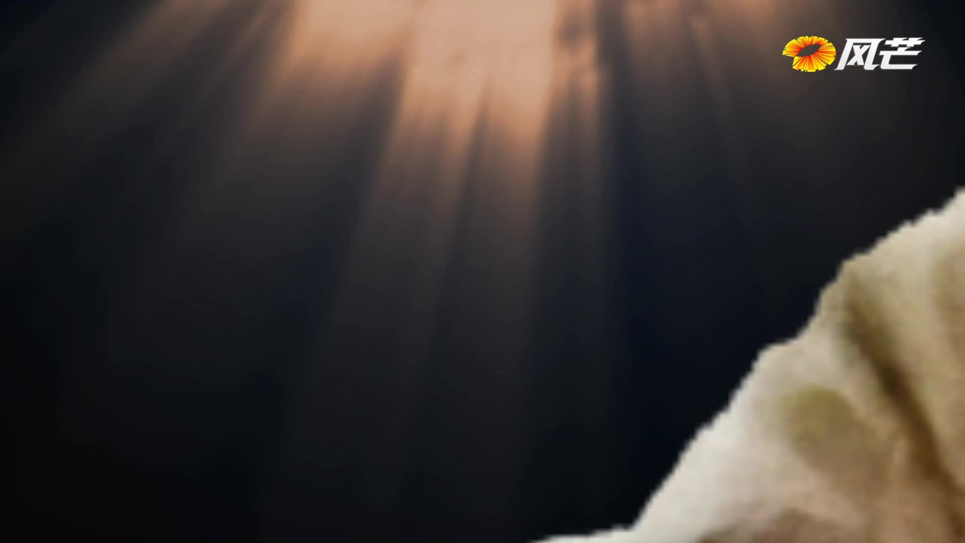 丁德馨：强核报国的“拓荒牛”