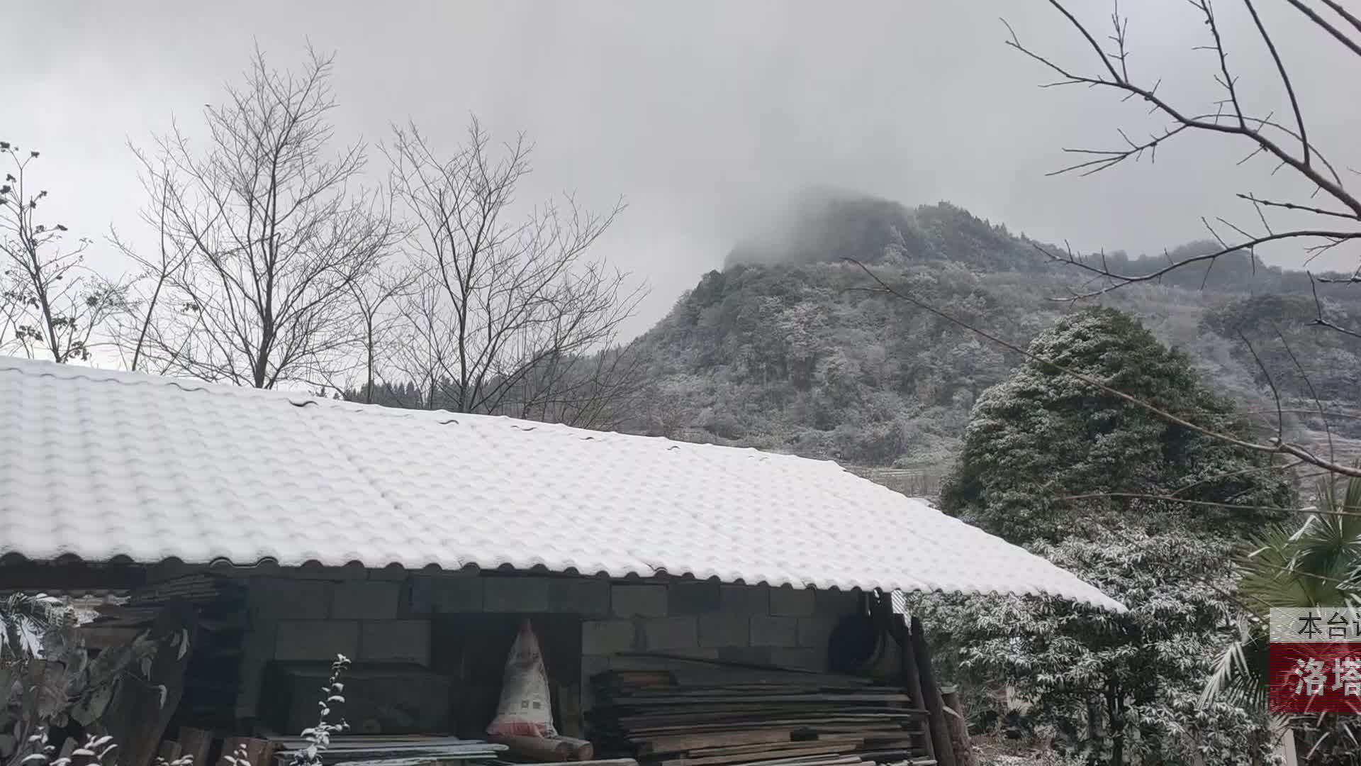 【龙山新闻】洛塔降雪风景如画