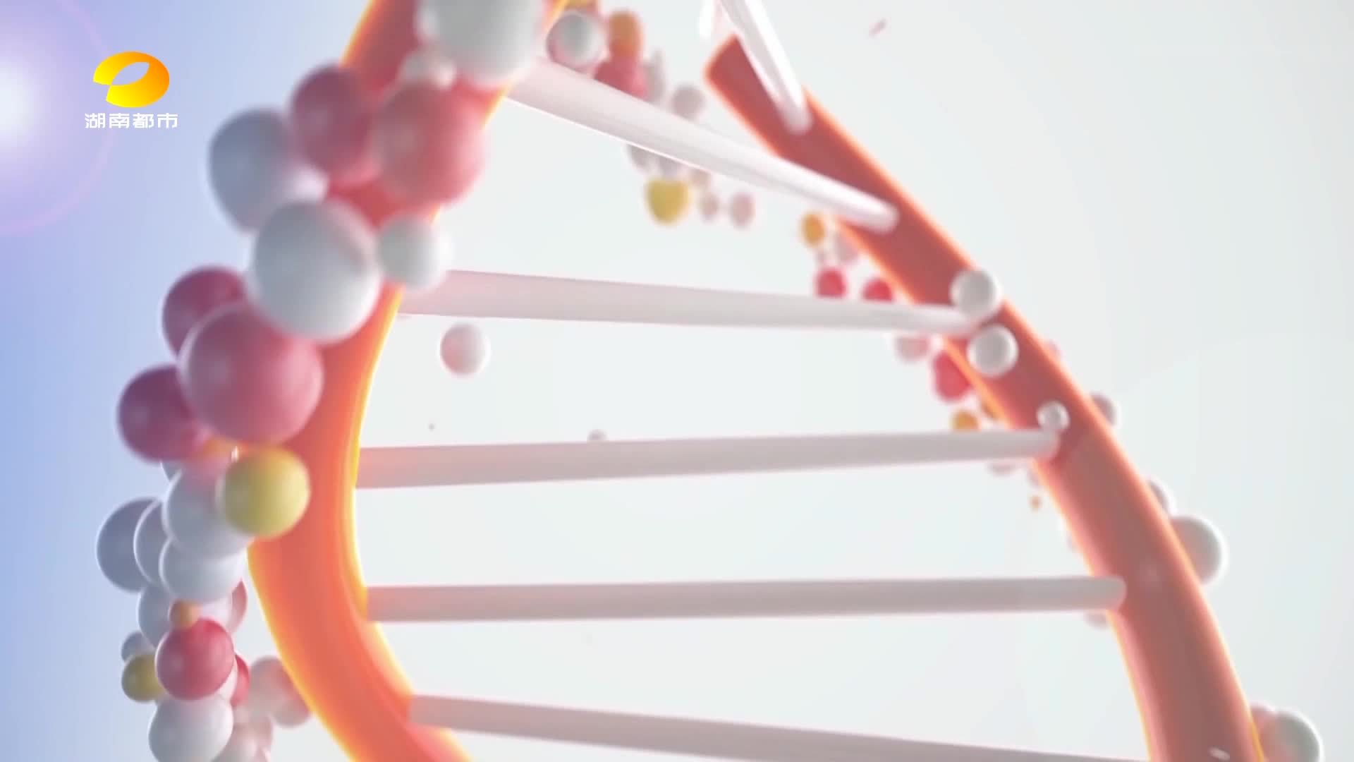 守住钱袋子  善林金融