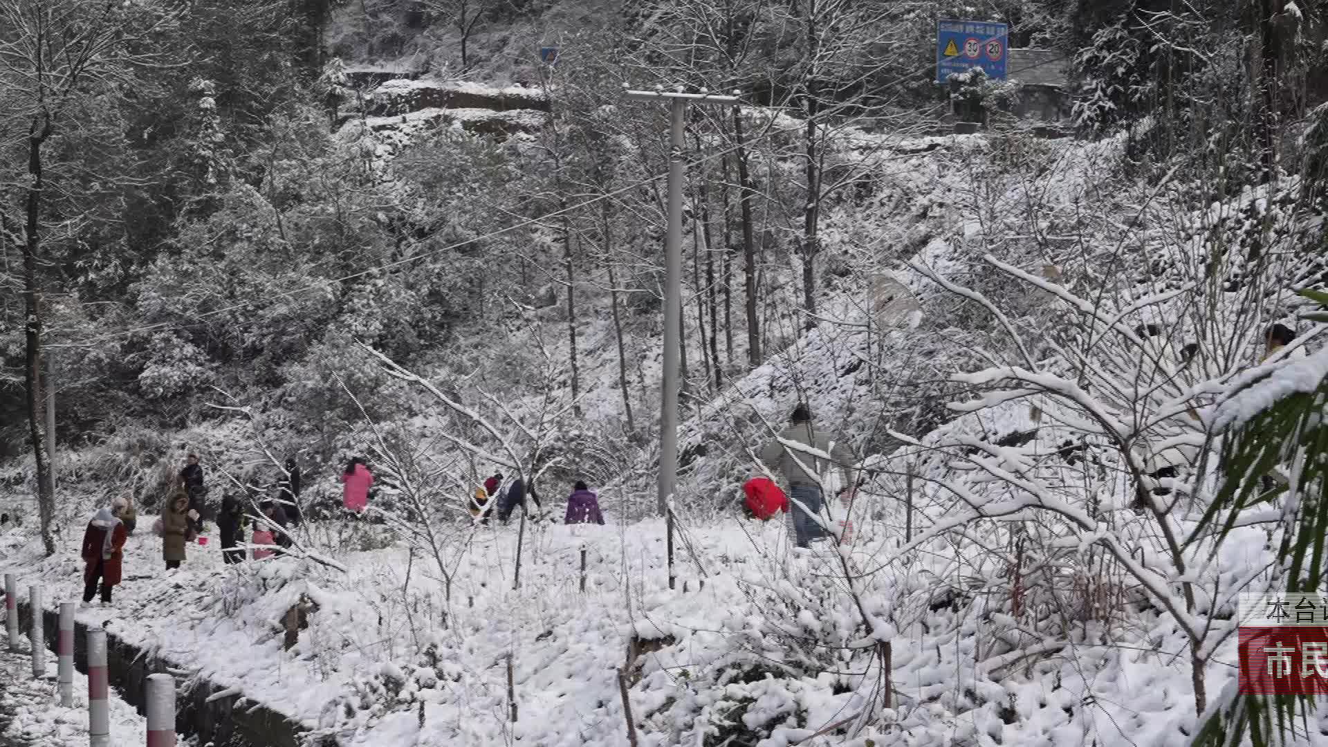 【龙山新闻】市民赏景玩雪