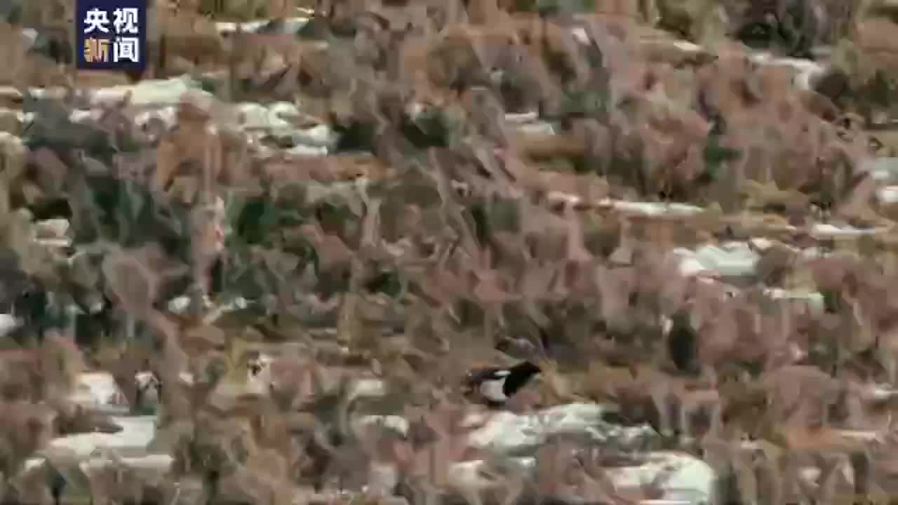 总书记关心的事｜在那遥远的地方