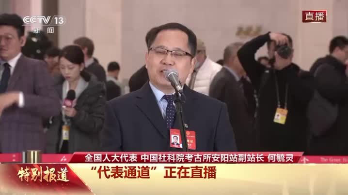 代表通道丨何毓灵：殷墟考古人讲述“亚长”牛尊发掘故事