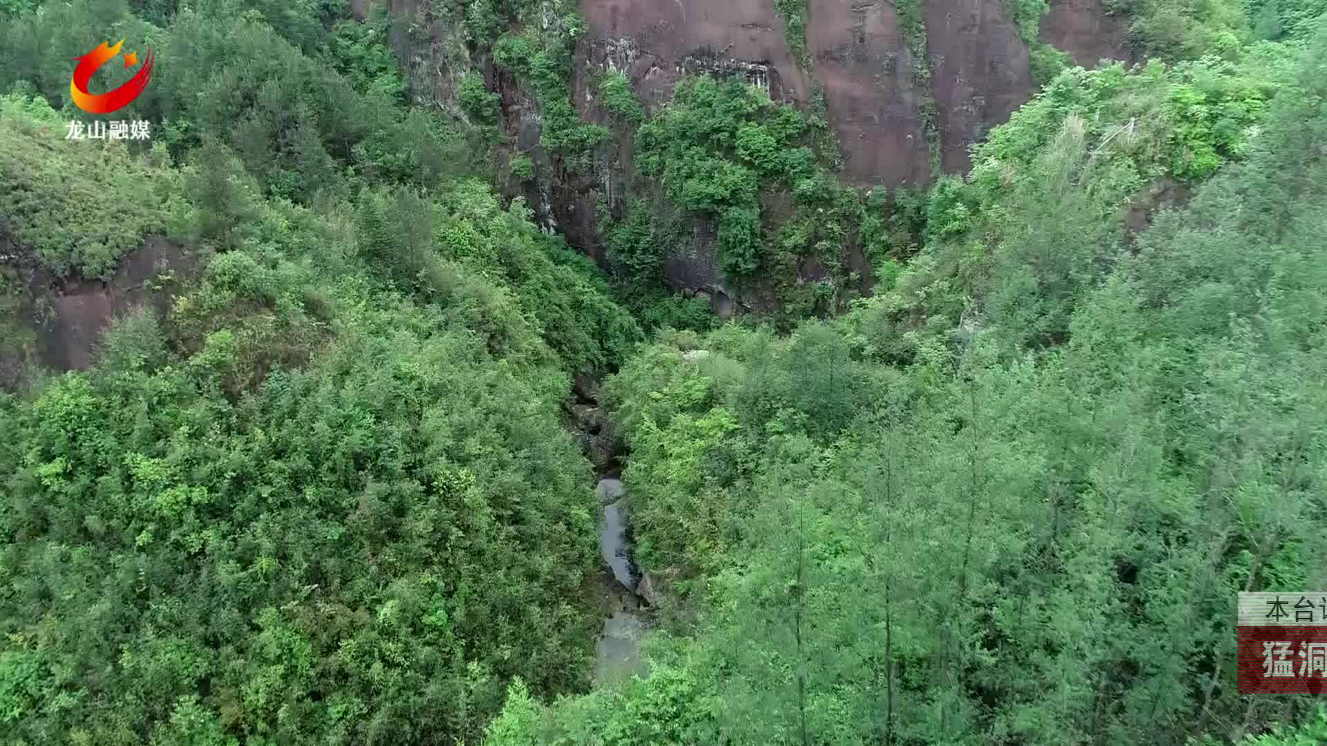 【龙山新闻】猛洞河峡谷：映山红漫山绽放