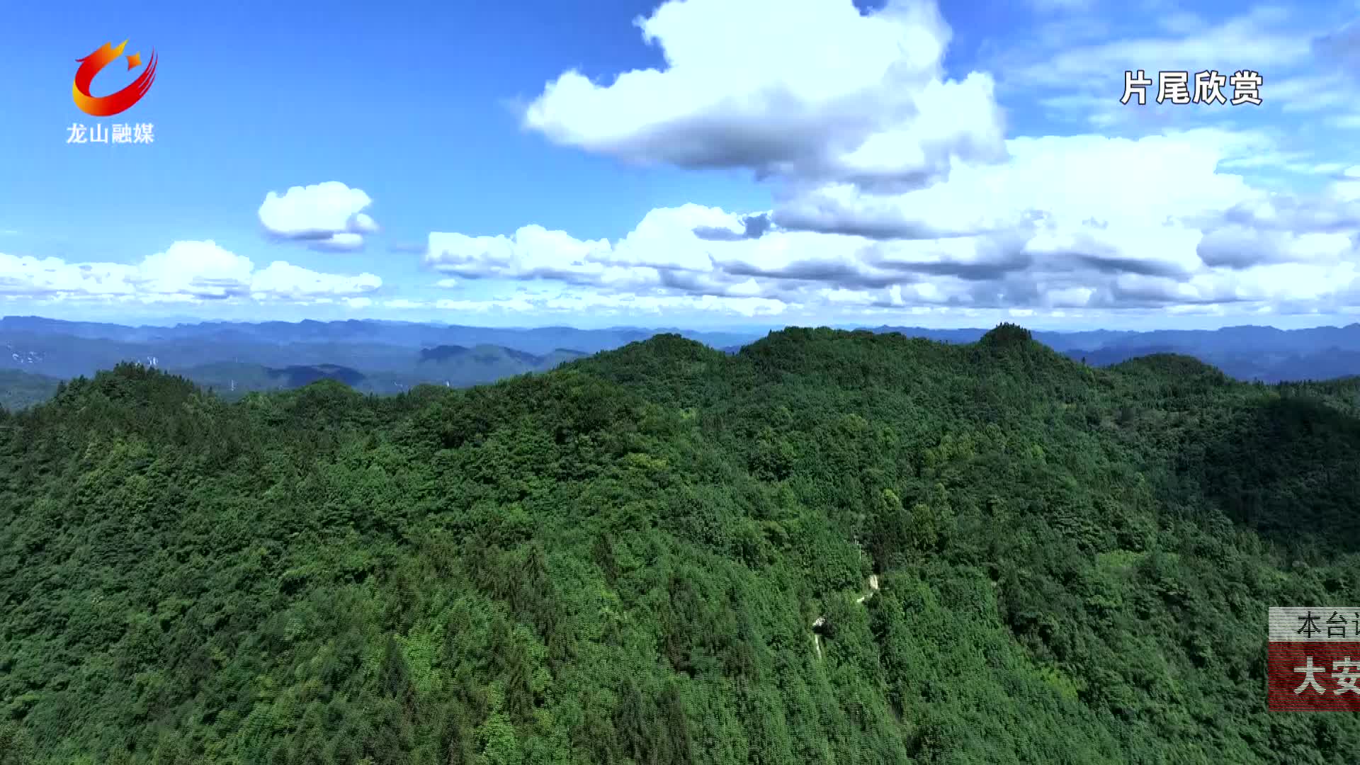 【龙山新闻】大安乡：厚朴花开