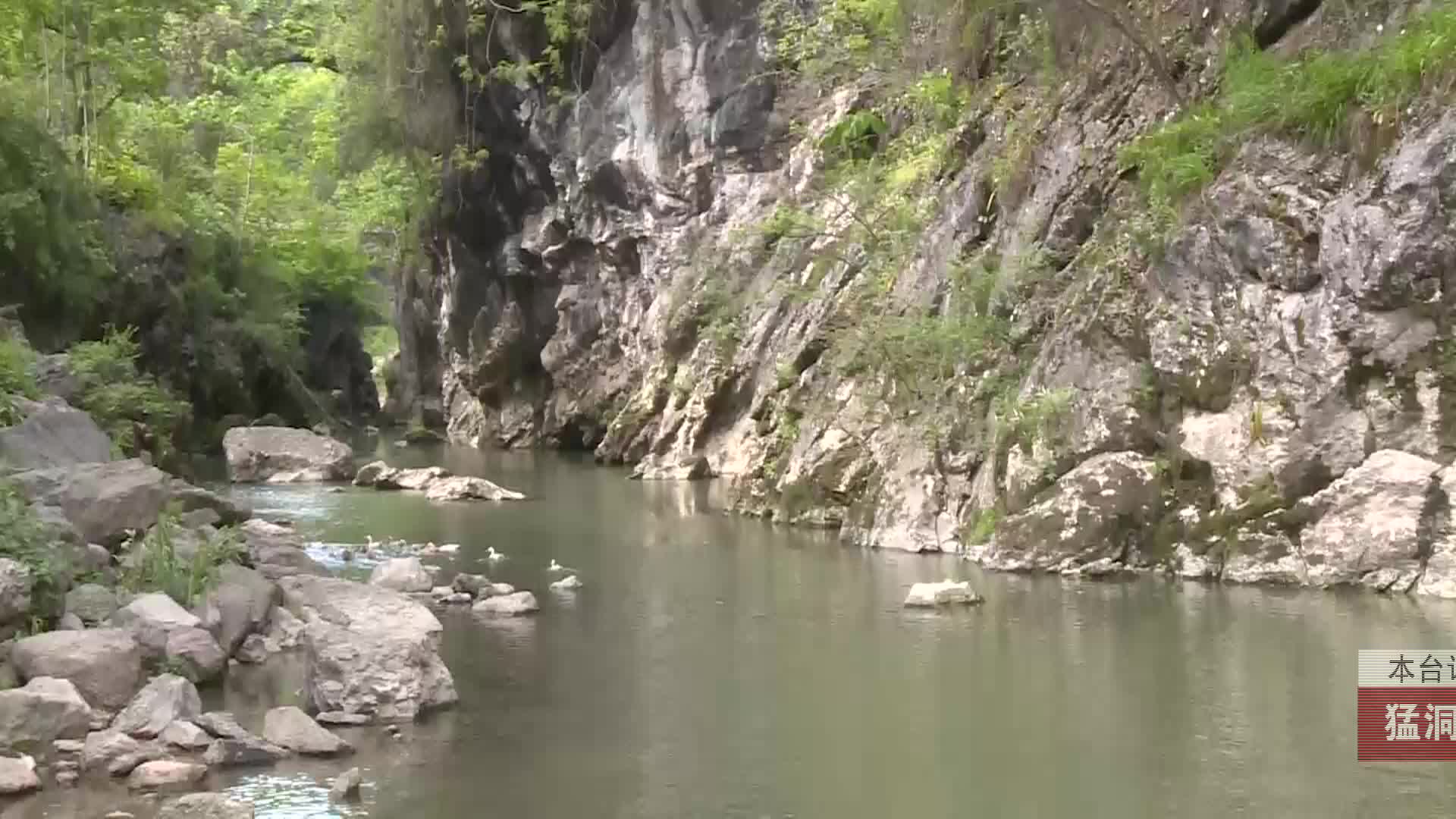 【龙山新闻】猛洞河峡谷：枫杨花开美如画