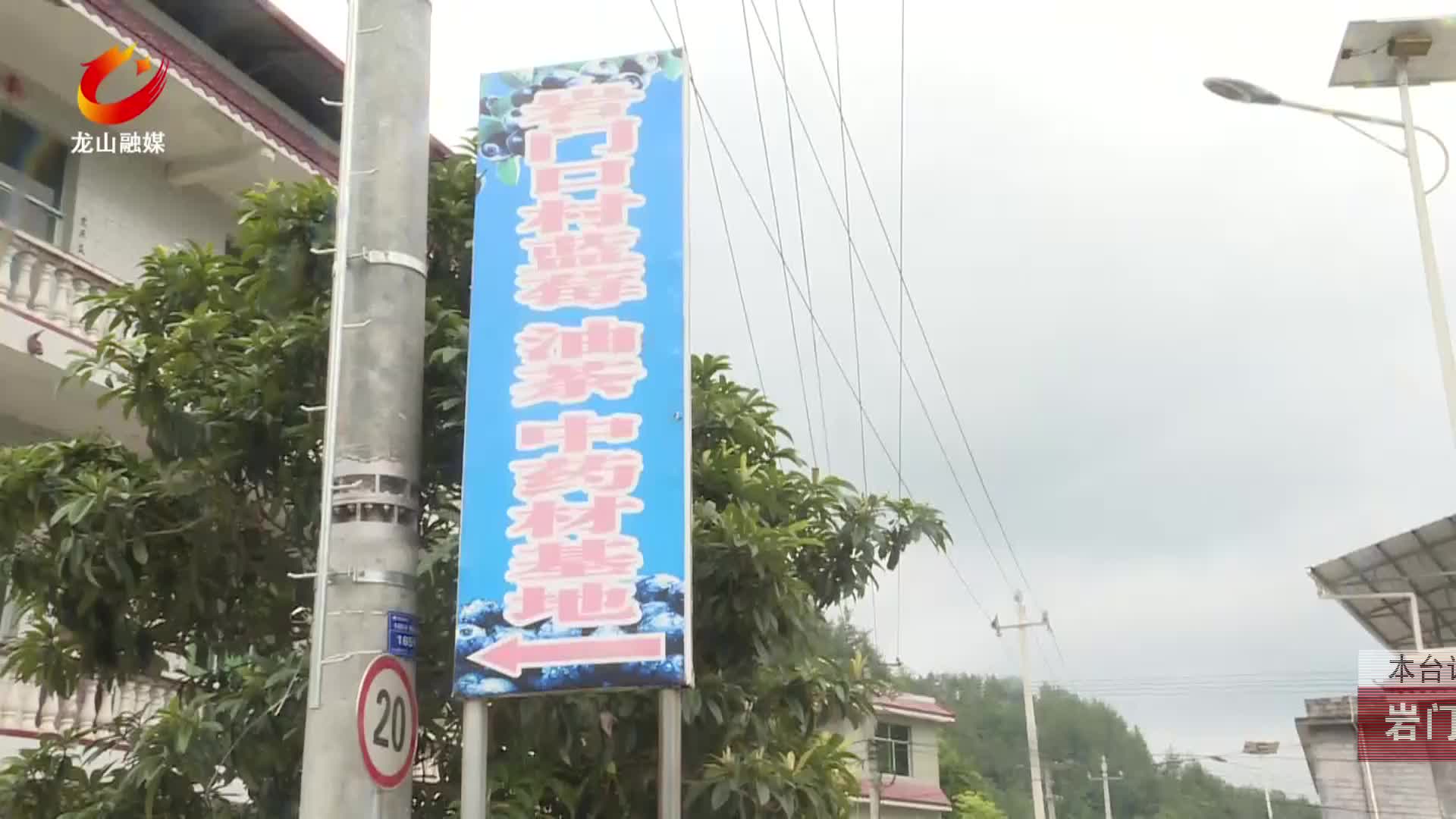 【龙山新闻】岩门口村：蓝莓采摘正当时