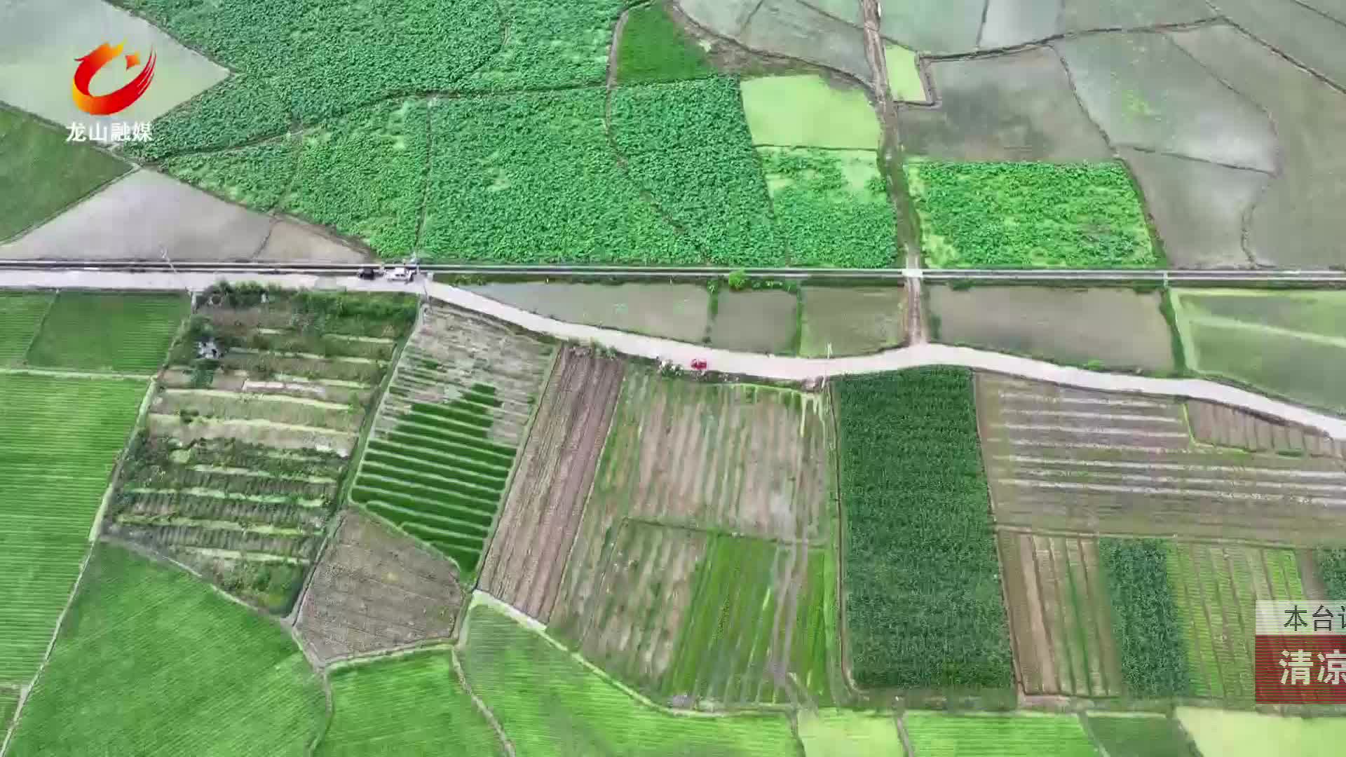 【龙山新闻】清凉夏日：荷花绽放美景如画